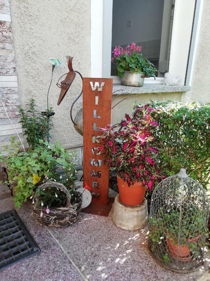 Ferienwohnung Zur Alten Eiche Frohburg 外观 照片